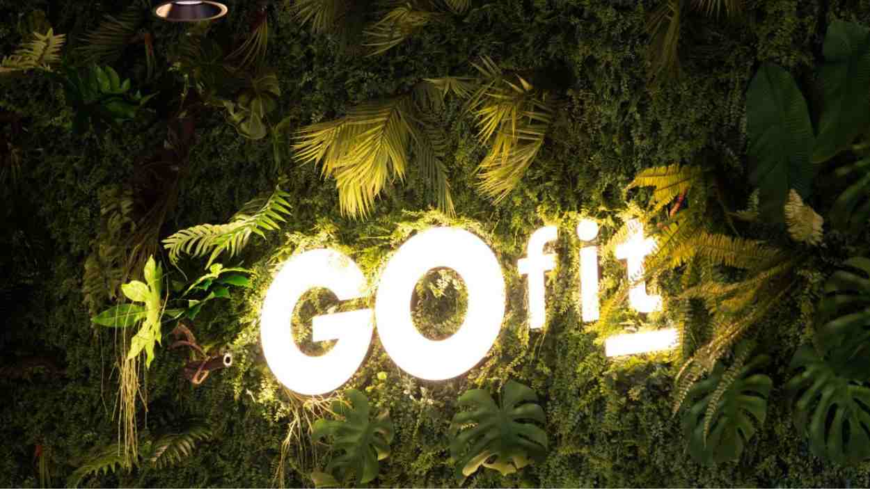 GOfit reduce un 67% su huella de carbono