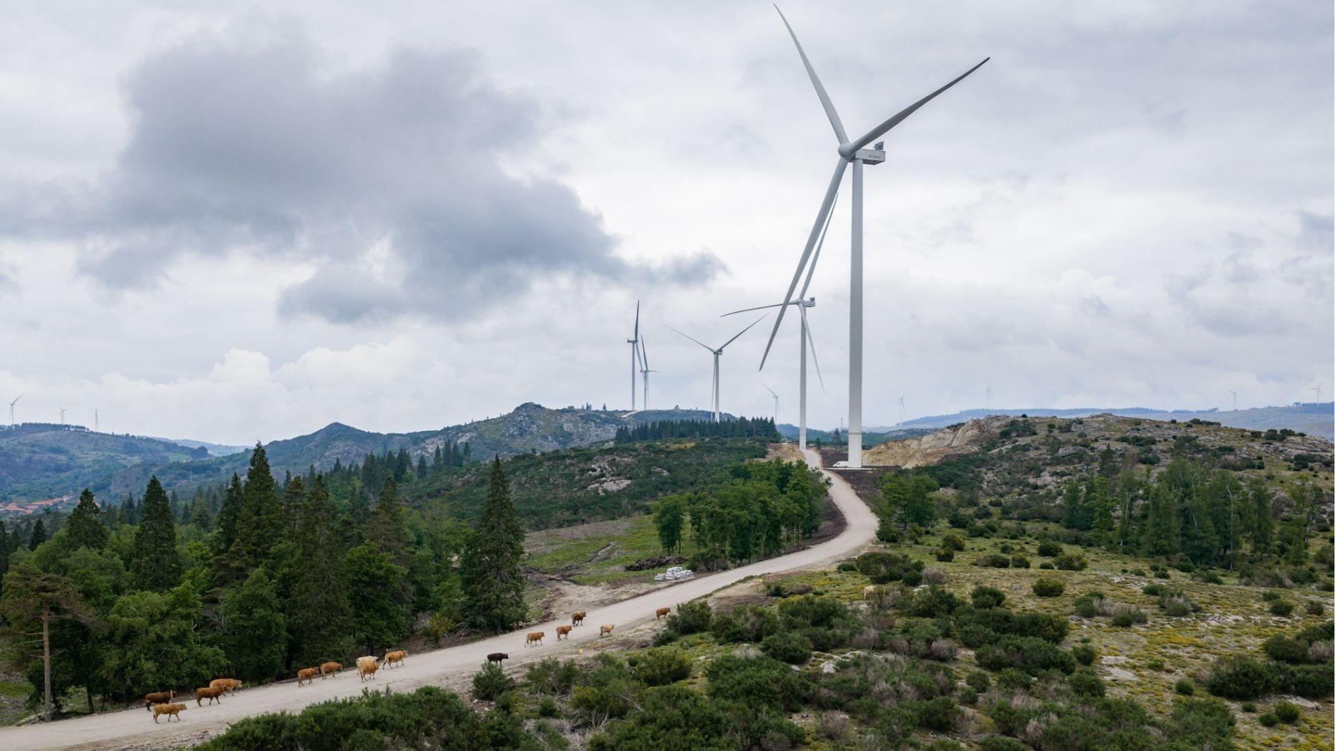 Molinos de viento de Iberdrola