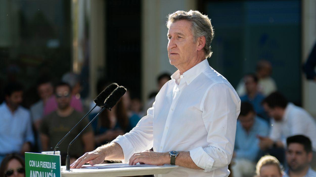 El presidente del PP, Alberto Núñez Feijóo. EP.