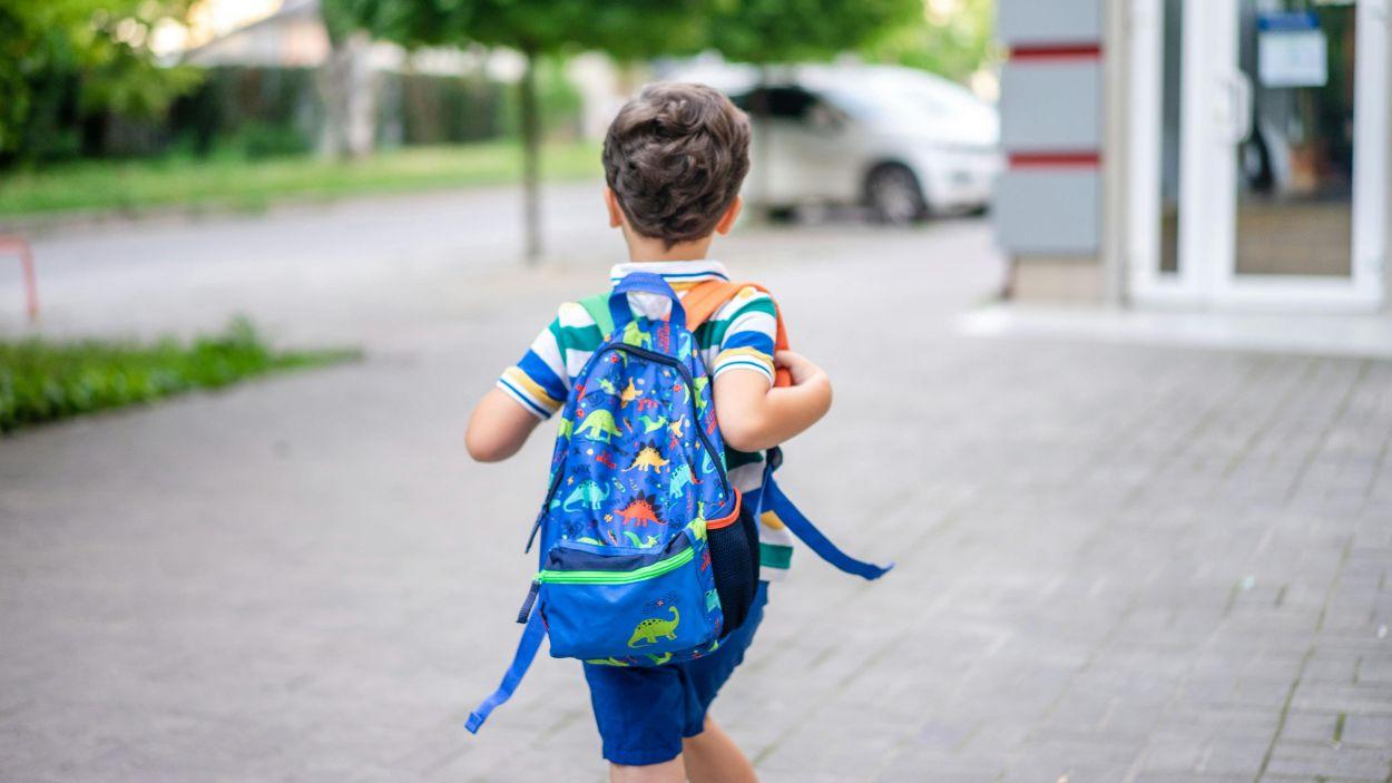 niño campamento verano