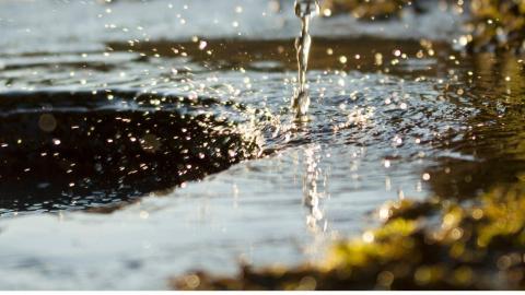 Día Mundial del Medio Ambiente: cómo garantizar agua, energía y recursos frente al cambio climático