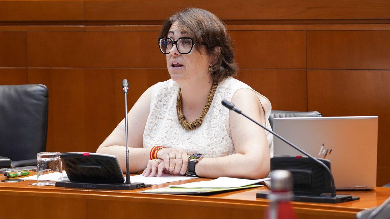 La consejera de Agricultura, Ganadería y Medio Ambiente del Gobierno de Aragón, Arancha Simón. EP.