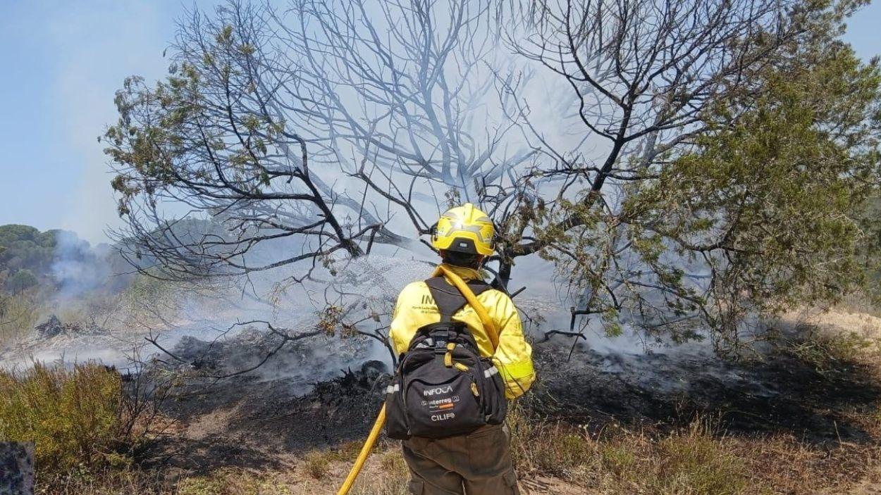Bombero forestal trabajando para extinguir el incendio en Doñana, a 26 de mayo de 2026. EP.