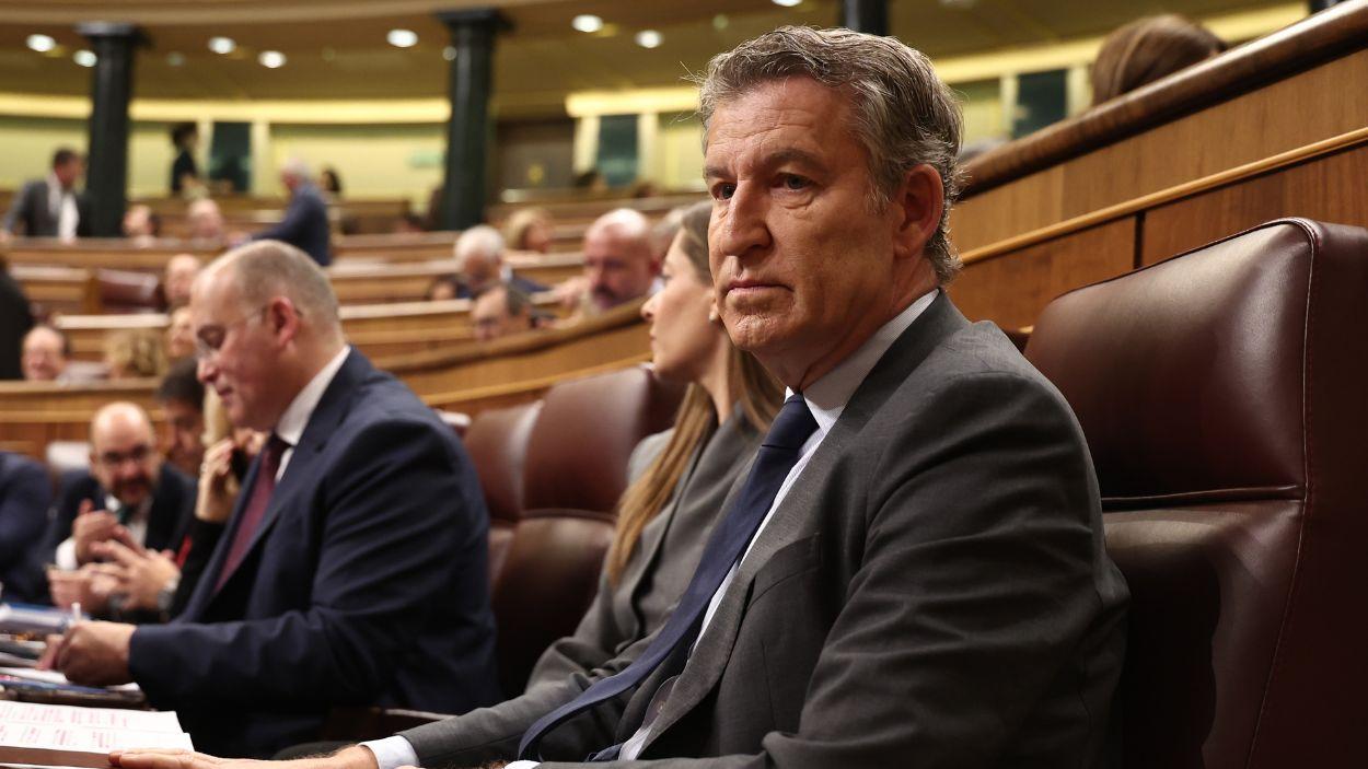 El presidente del PP, Alberto Núñez Feijóo, en el Congreso de los Diputados. EP
