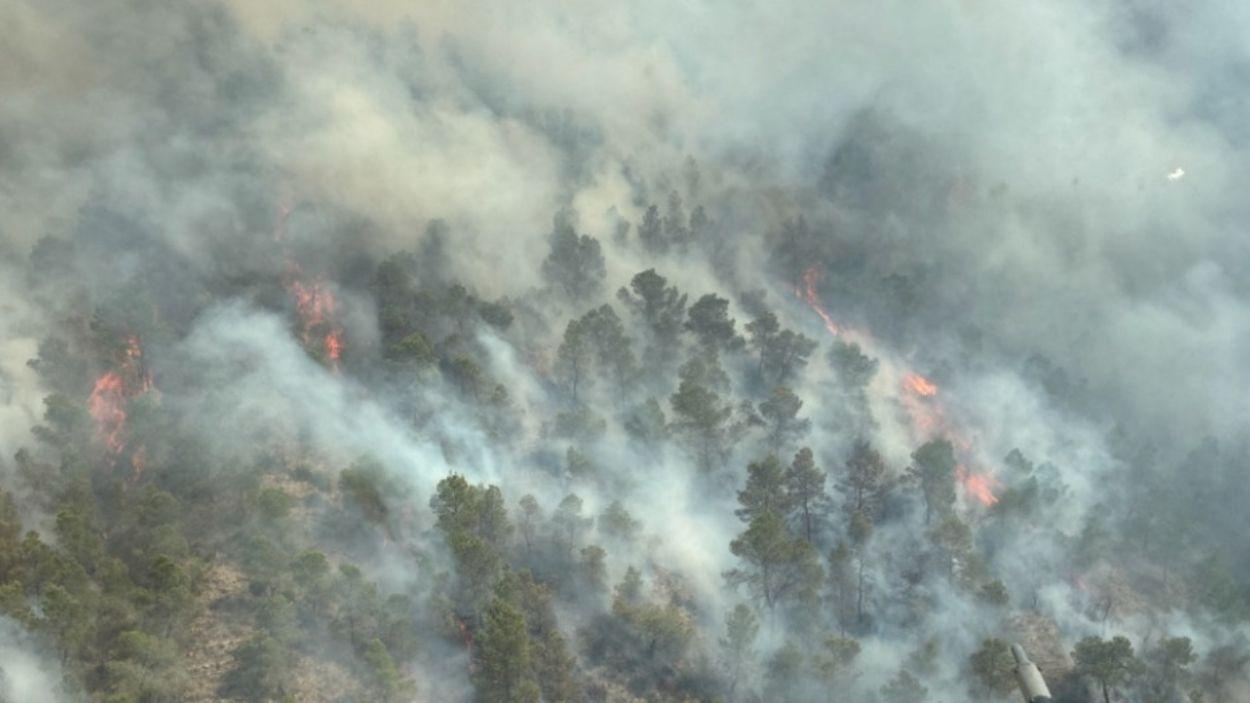 Incendio forestal en la zona de Los Garres (Murcia). EP.
