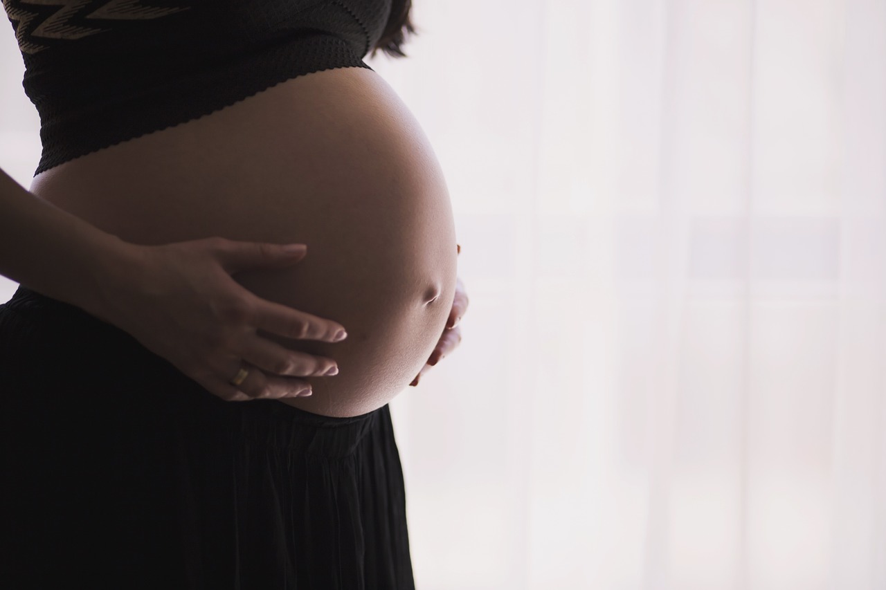 Imagen de una mujer embarazada. Pixabay