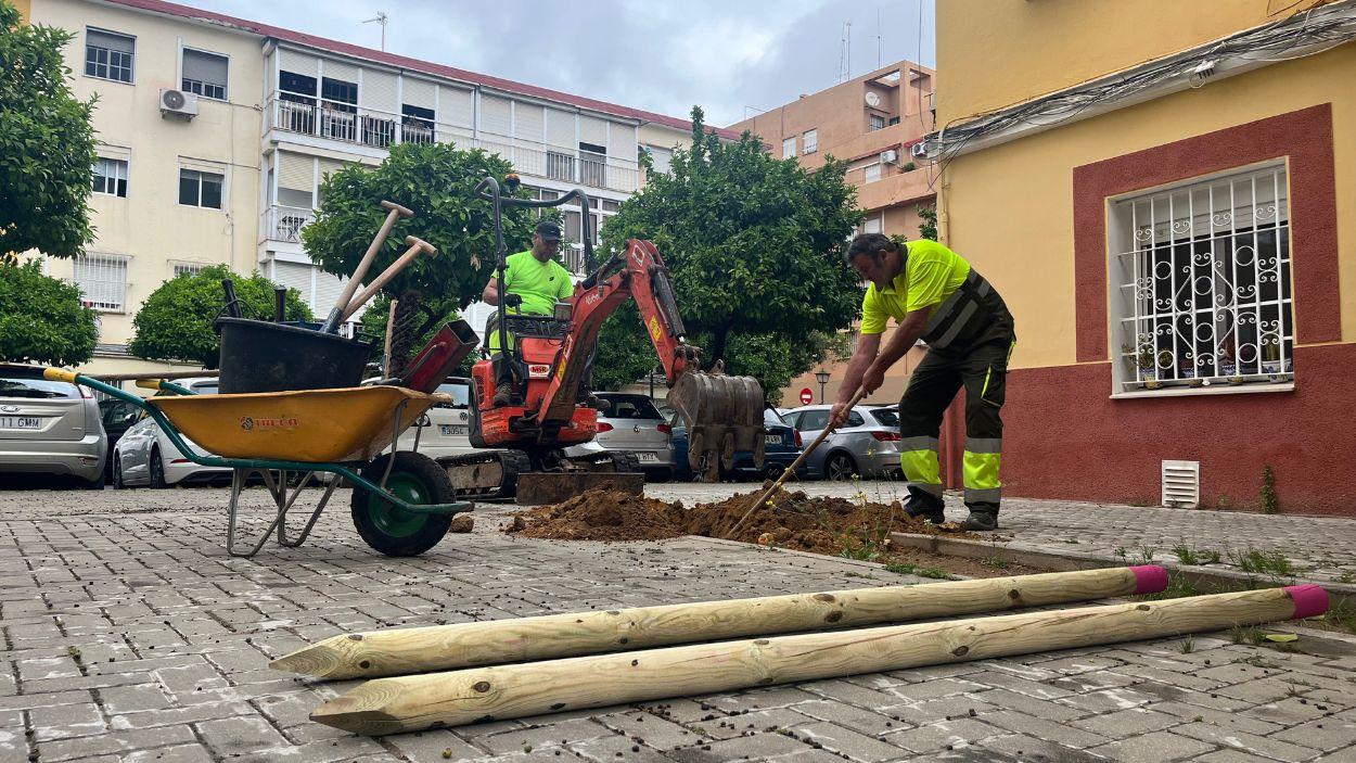 Trabajadores de Parques y Jardines en labores de plantación en el Distrito Macarena / Archivo EP