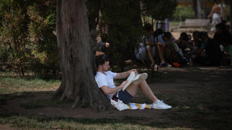 Una persona lee a la sombra de un árbol Una persona lee a la sombra de un árbol