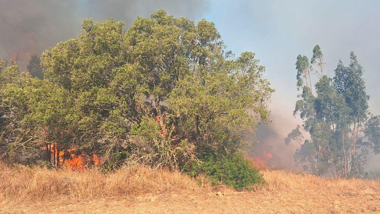Incendio forestal de Alosno / Plan INFOCA