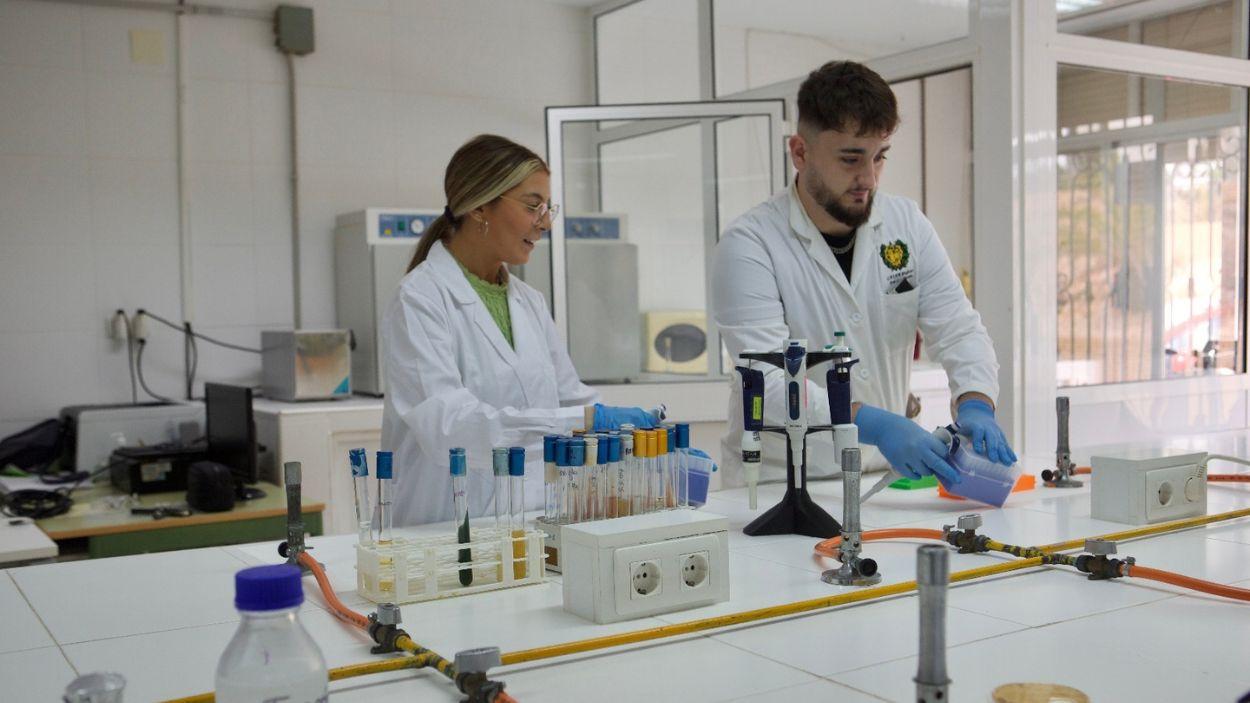 Estudiantes de Formación Profesional en Andalucía / Archivo EP