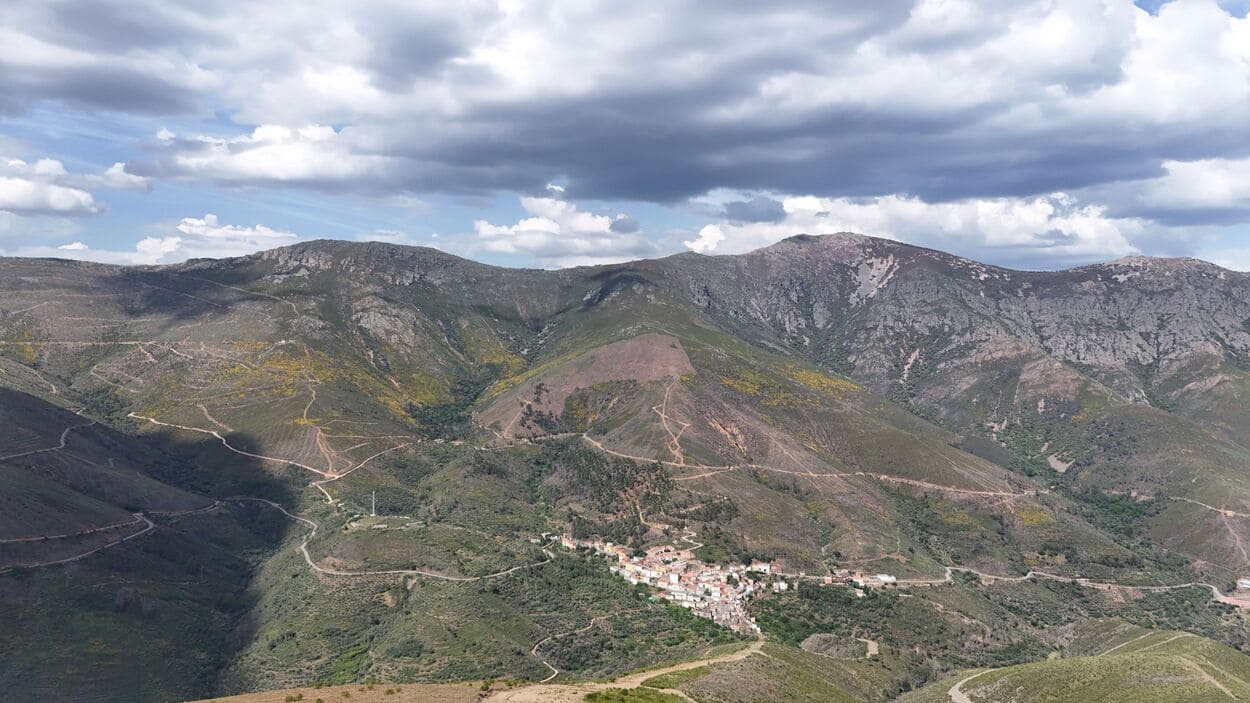 Bosque Naturgy en Ladrillar (Cáceres). FUNDACIÓN NATURGY