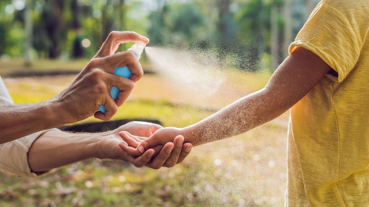 ¿Picadura, hongo o molusco Las claves para distinguir las lesiones más frecuentes del verano infantil