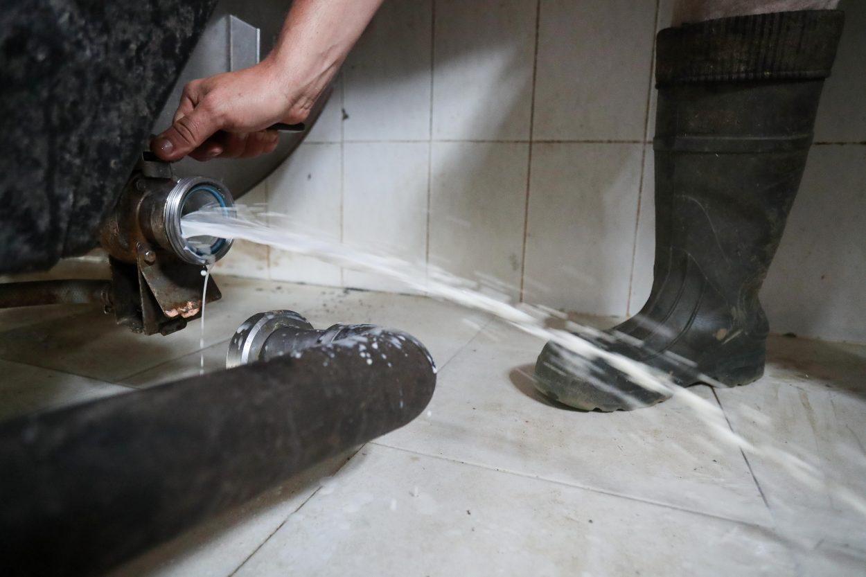 Un ganadero lucense tirando su producción de leche en abril de este año (Foto: Europa Press).