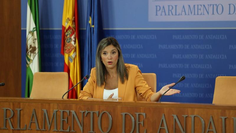 Portavoz adjunta del PSOE-A en el Parlamento de Andalucía, María Márquez Portavoz adjunta del PSOE-A en el Parlamento de Andalucía, María Márquez