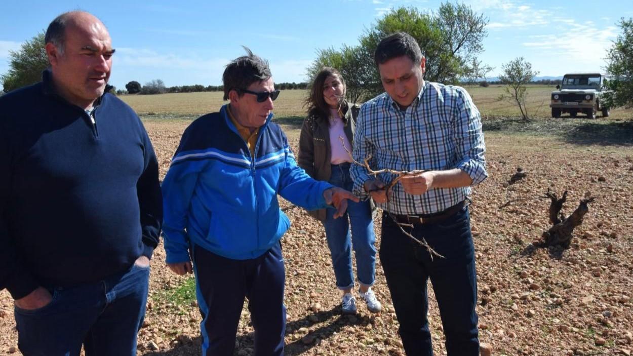 Resolución provisional conejos. Diputación de Cuenca