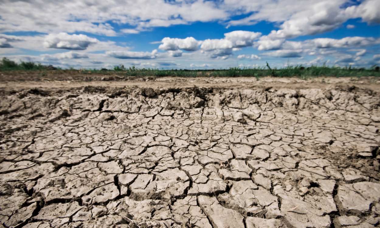 ¿Cuánto sabes sobre la desertificación y sus consecuencias?