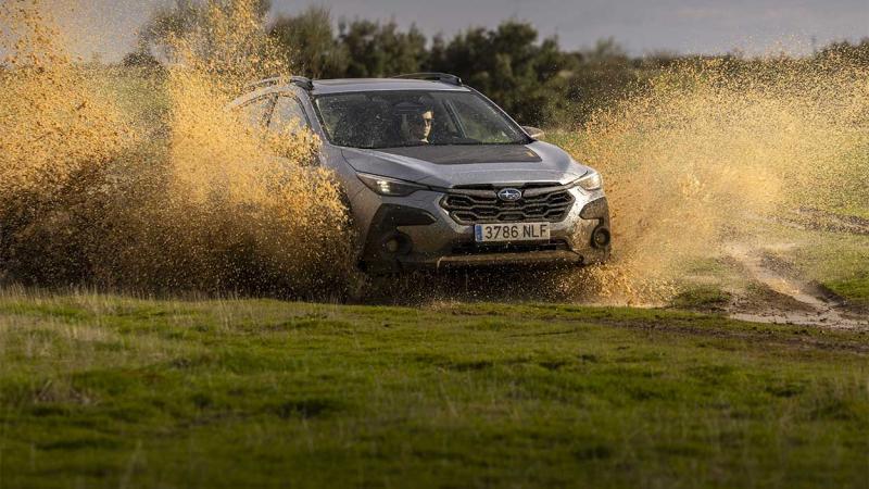 SubaruCrosstrek 4Wild (24)
