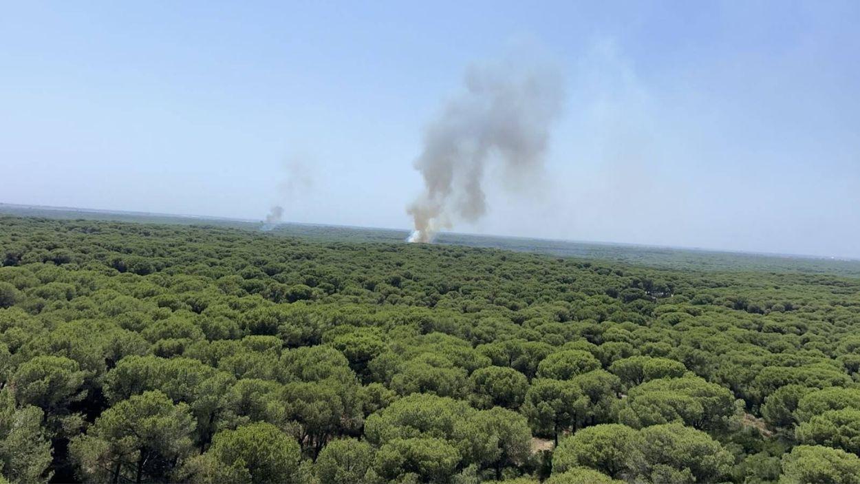 Incendio forestal declarado en La Puebla (Sevilla). EP.