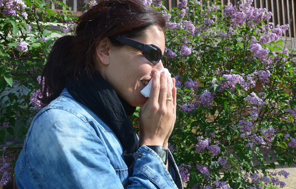 Muchas de las alergias cursan con estornudos y congestión nasal.