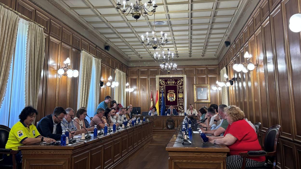Pleno Ordinario junio. Anabel Salinas
