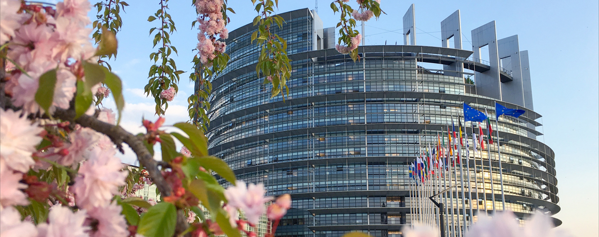 Fotografía del Parlamento Europeo fuente UE