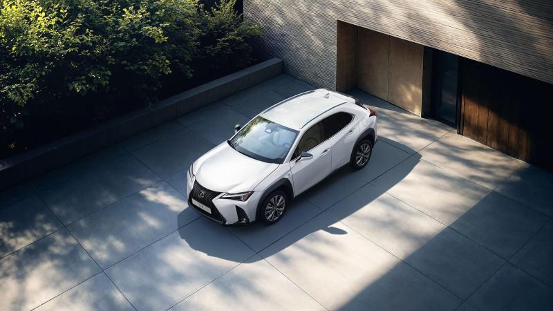 lexus cenital