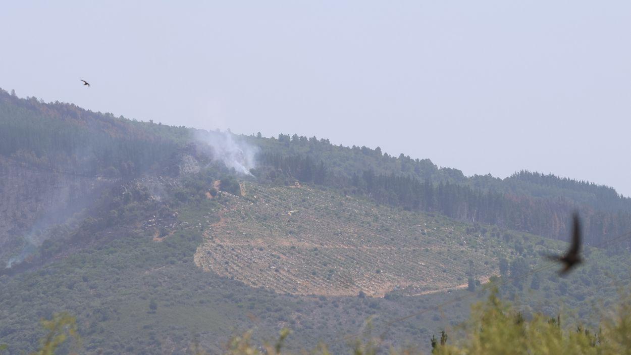 Incendio forestal en San Vicente de Arganza, León. EP.