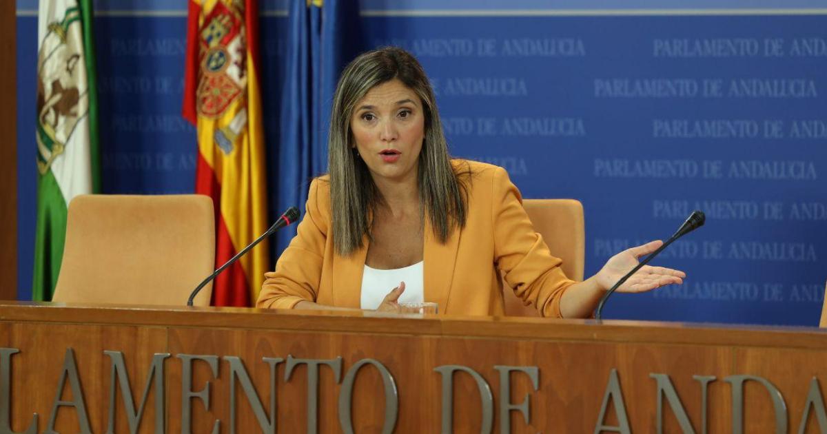El PSOE-A reta a Moreno a “decir la verdad” en la investidura y da por cerrado su pacto con Vox desde las elecciones