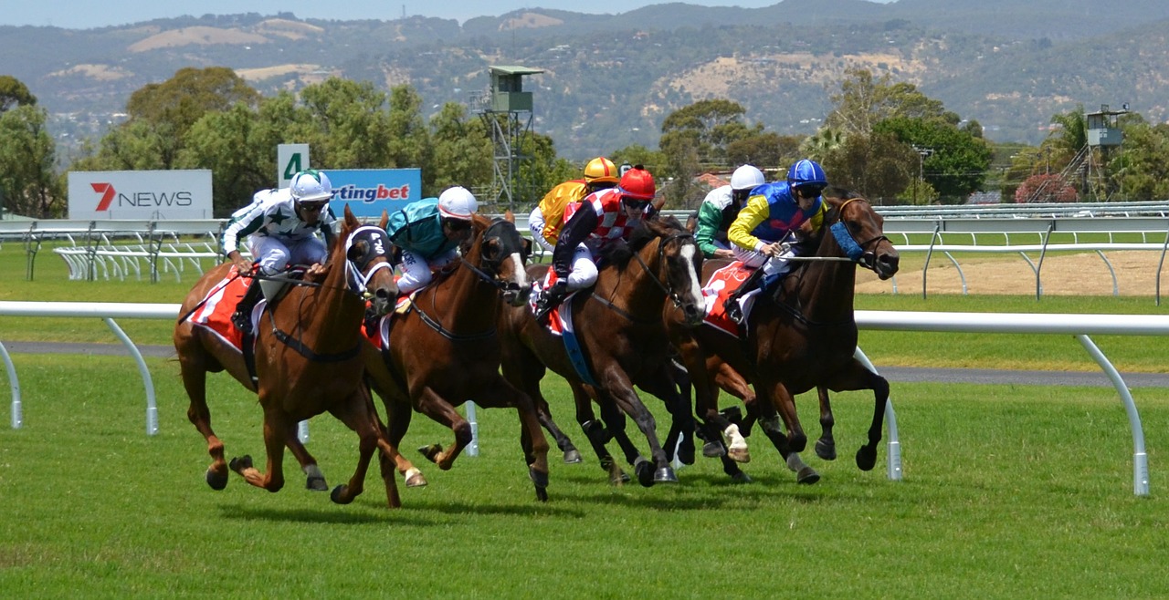 Imagen de una carrera de caballos, típico deporte de apuestas. 