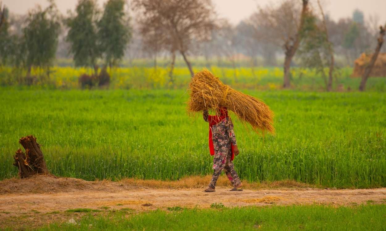 El futuro también se cultiva en el campo, pero ¿le prestamos suficiente atención?