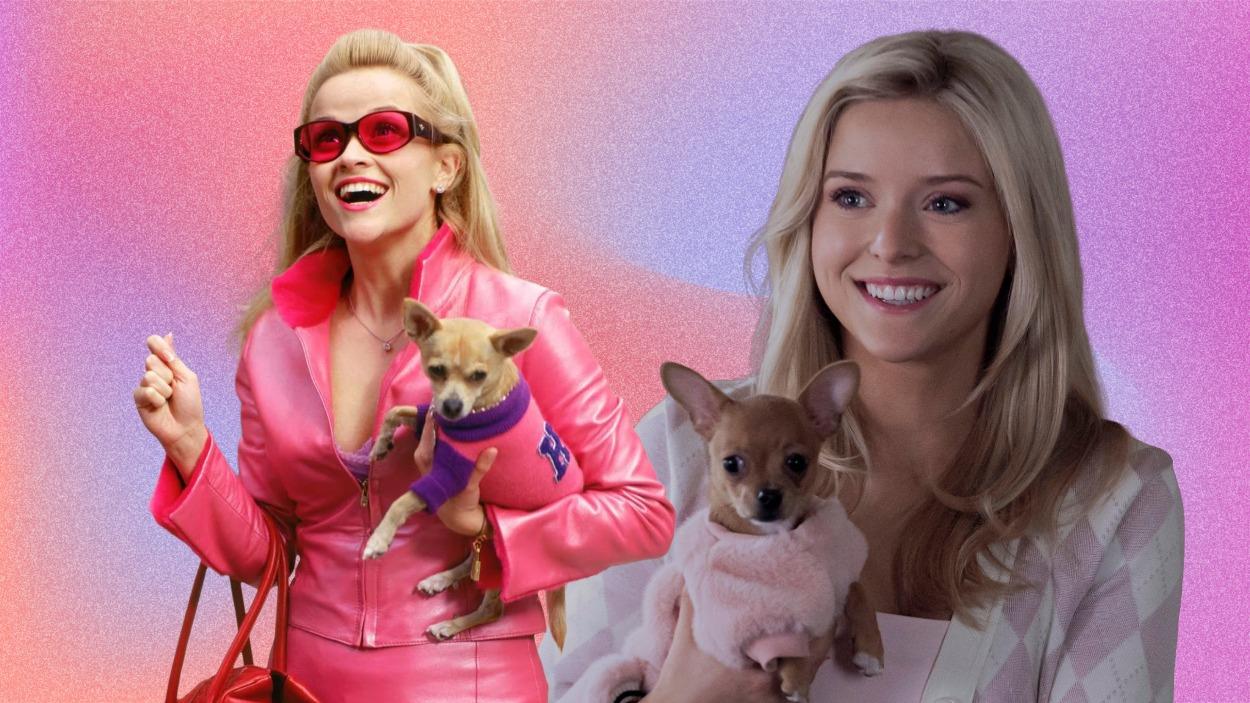 Una Rubia Muy Legal (2001) / 'Elle' de Prime Video (2026)