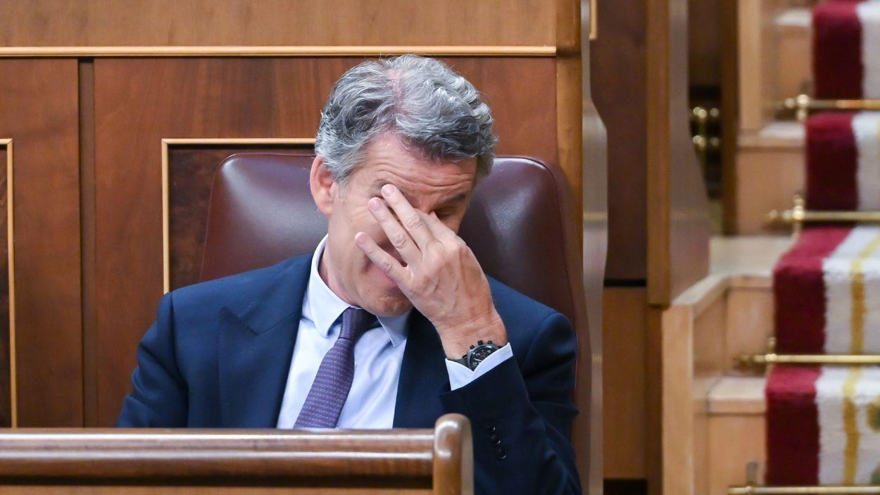 El presidente del PP, Alberto Núñez Feijóo. EP.
