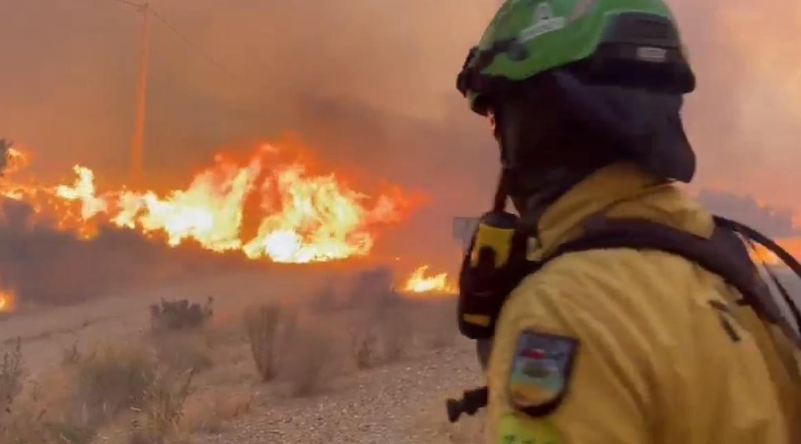 Un bombero forestal combate el incendio declarado en Los Gallardos (Almería).