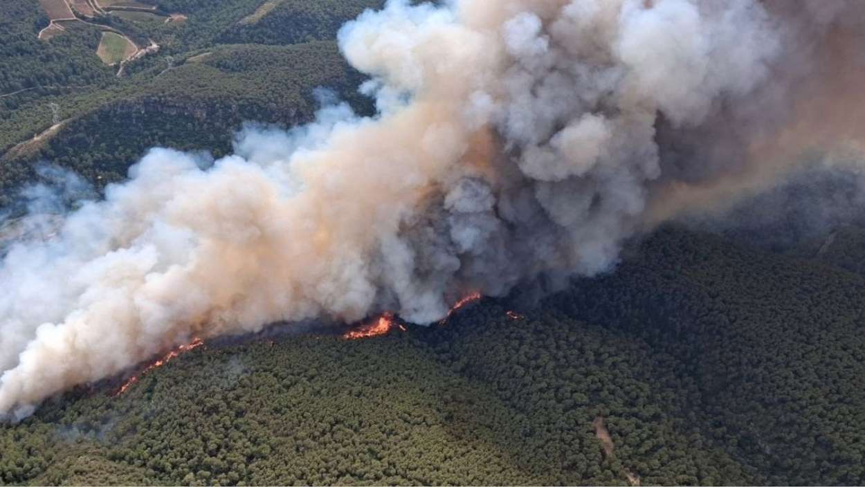 Incendio en Aiguamúrcia (Tarragona). AGENTS RURALS