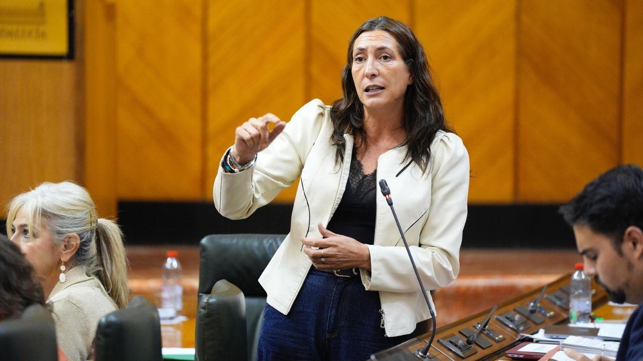 La consejera de Inclusión Social, Juventud, Familia e Igualdad en funciones, Loles López, en el Parlamento andaluz / EP