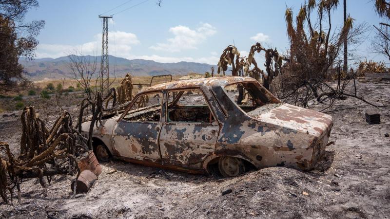 Imágenes de la zona afectada por el incendio de Los Gallardos / EP Imágenes de la zona afectada por el incendio de Los Gallardos / EP