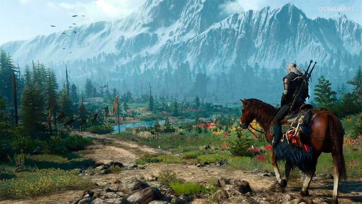The Witcher