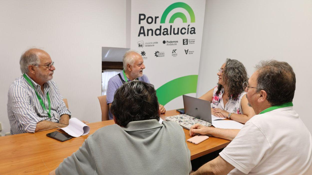 La diputada autonómica Rosa Rodríguez / Por Andalucía