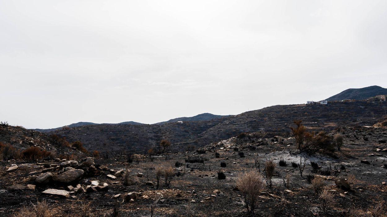 Zonas afectadas por el incendio forestal de Los Gallardos (Almería) / EP