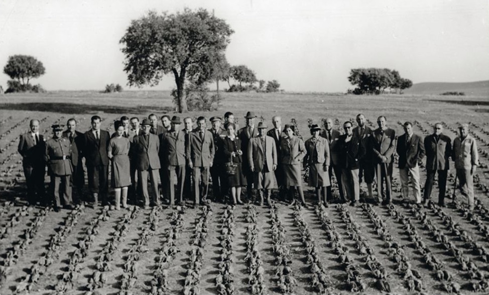 Franco, en el centro, junto a su mujer y otros participantes, rodeados por las 4.601 perdices.
