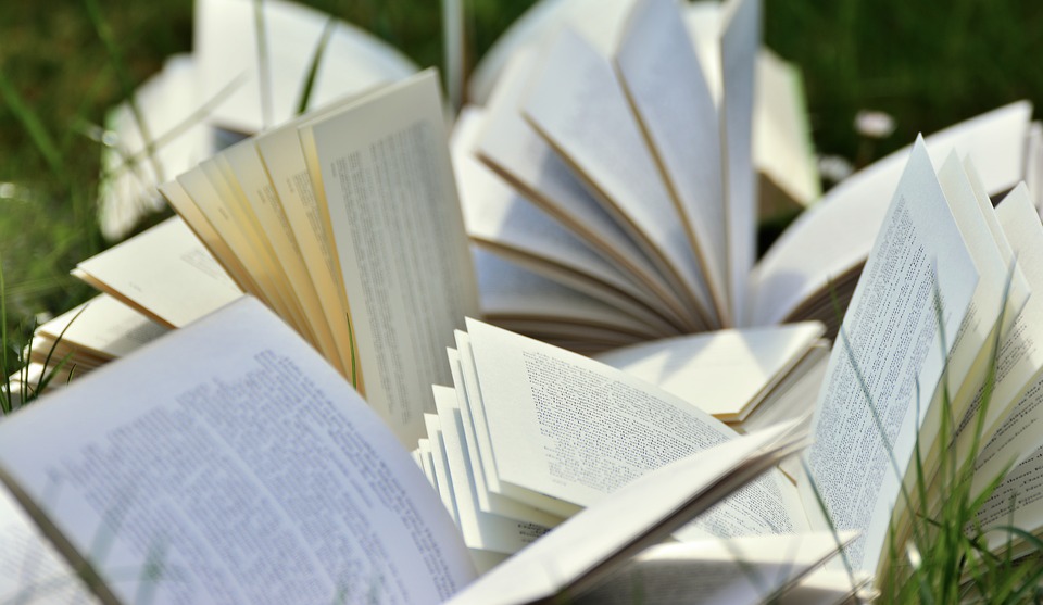 Un premio de 12.000 euros para escritores noveles. Los lectores deciden Un premio de 12.000 euros para escritores noveles. Los lectores deciden