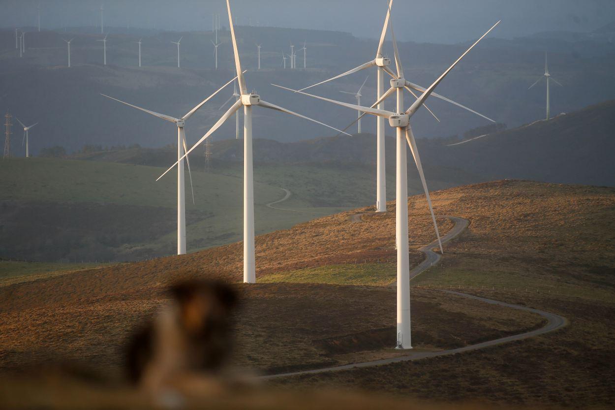 Imagen de un parque eólico situado en la provincia de Lugo (Foto: Europa Press).
