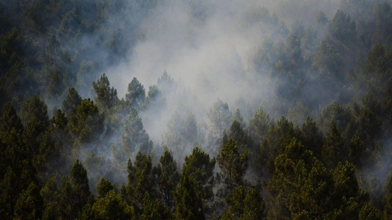 Superficie forestal quemada en el incendio forestal de la Mierla (Guadalajara). EP.