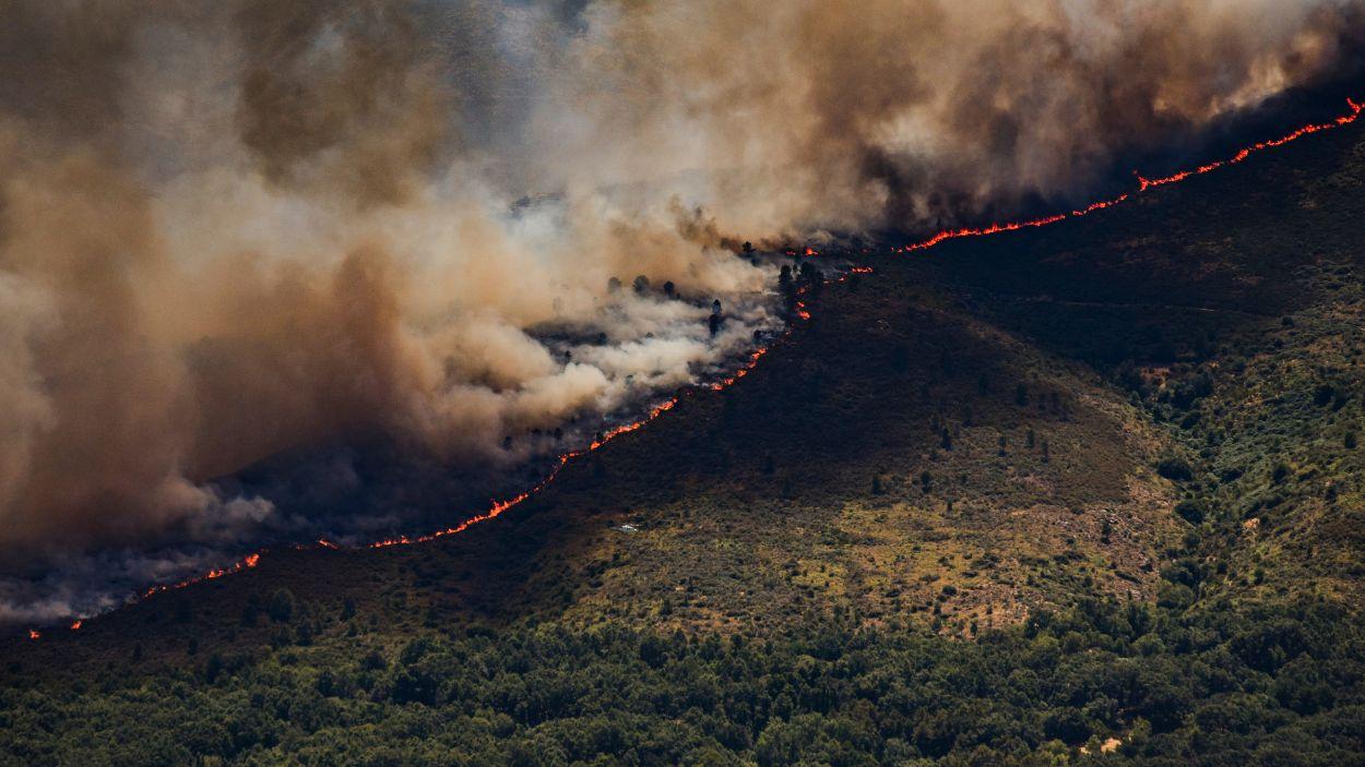 Vista de una espesa columna de humo provocada por un incendio forestal, a 23 de julio de 2026, en Burgohondo, Ávila, Castilla y León. EP.