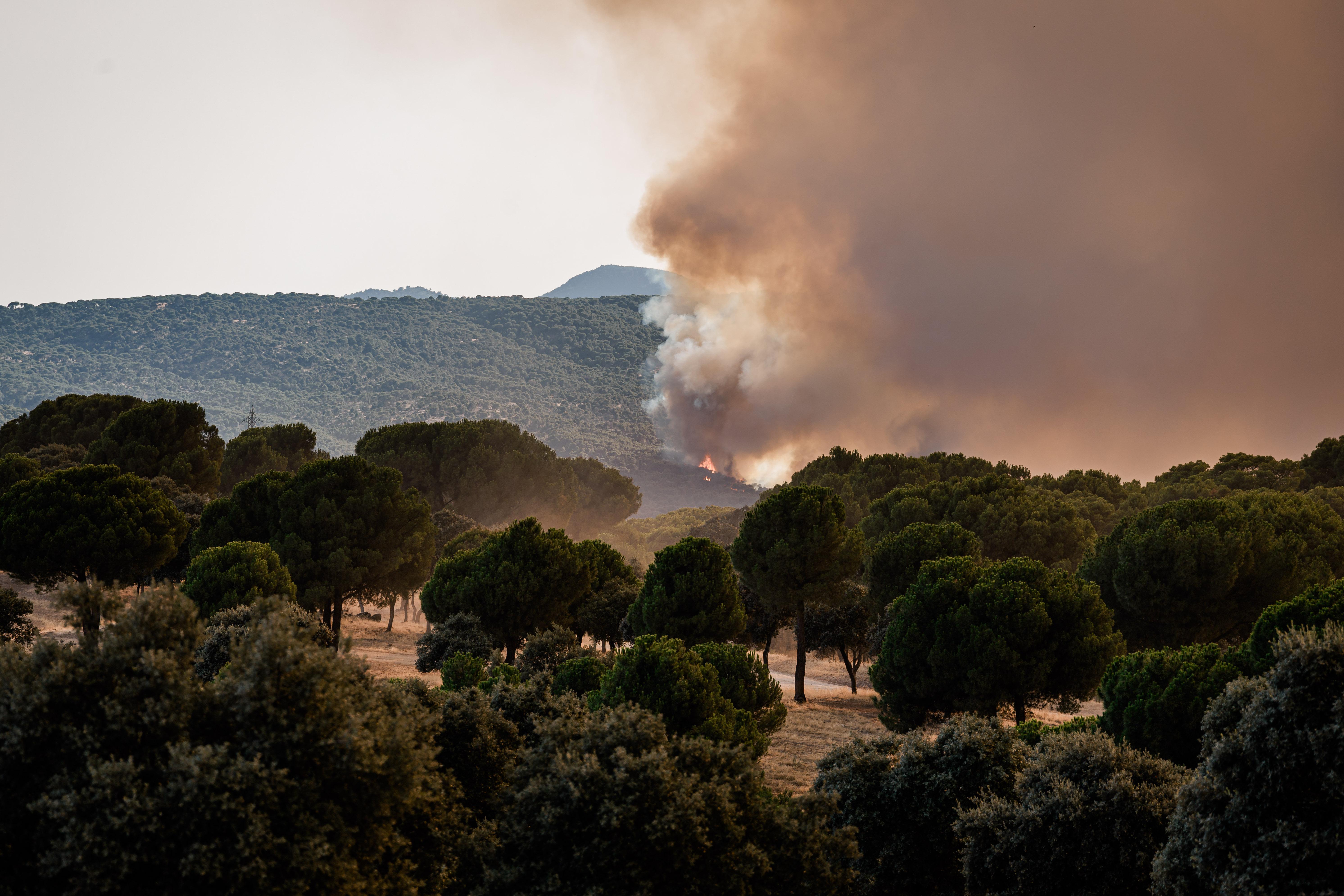 El Gobierno pide ayuda a la Unión Europea para contener los incendios en España