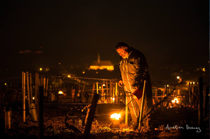 Noche de fuego en las viñas Noche de fuego en las viñas
