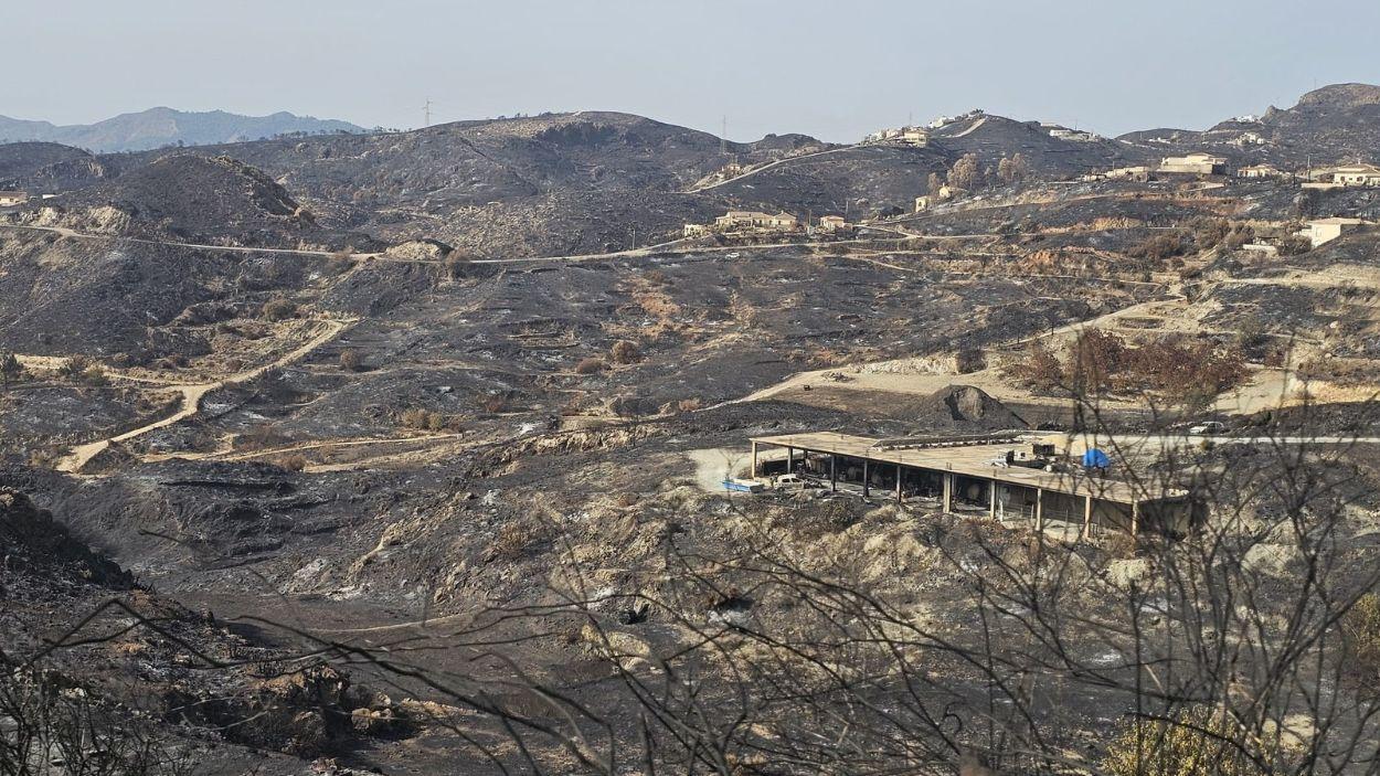 Zona calcinada por el incendio forestal de Los Gallardos (Almería) / EP