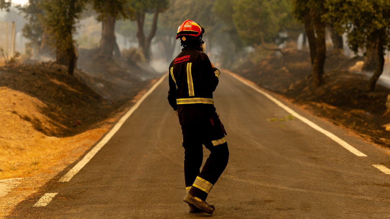 Un bombero trabajando en las labores de extinción de un incendio forestal / EP