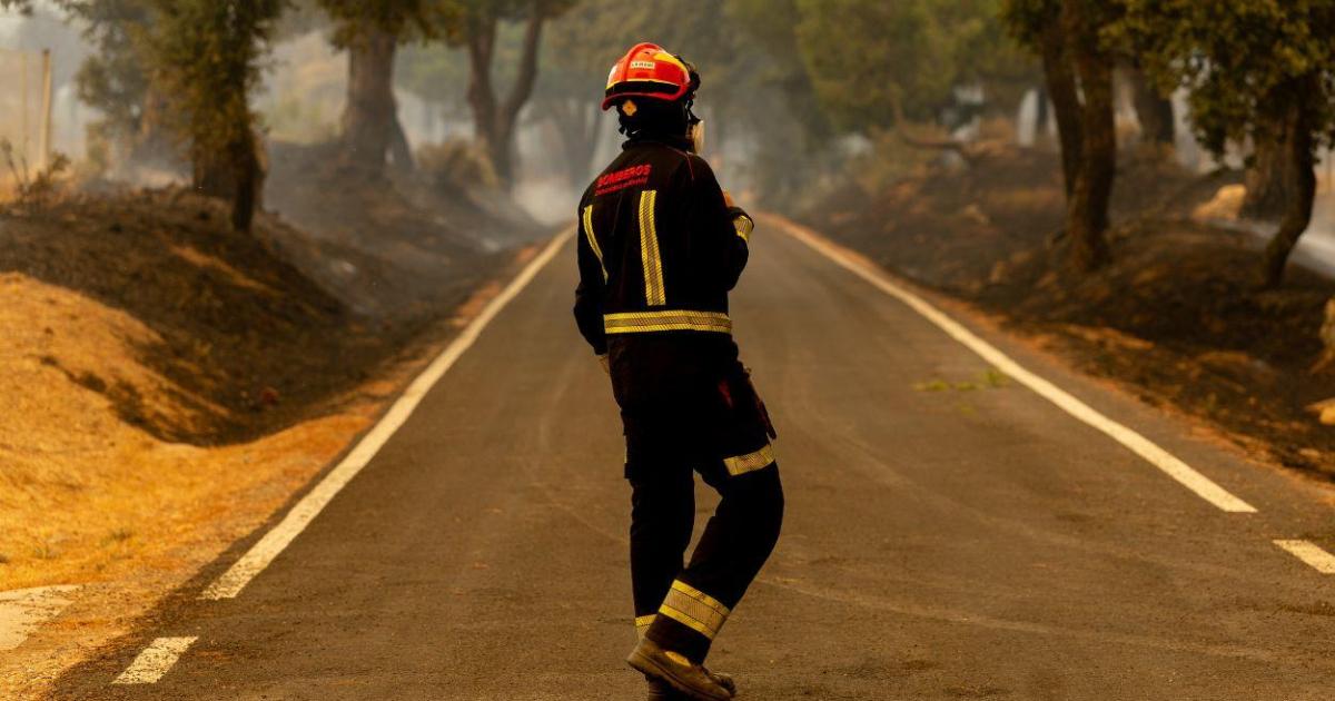 Andalucía afronta su julio más devastador por los incendios con más de 8.000 hectáreas calcinadas y 13 víctimas mortales