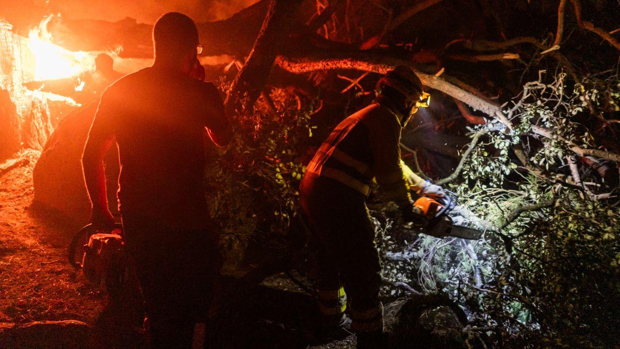 Bomberos luchan contra las llamas en La Adrada (Ávila). Europa Press.